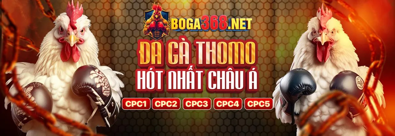 super8 Thể Thao - Nền Tảng Cá Cược Đỉnh Cao